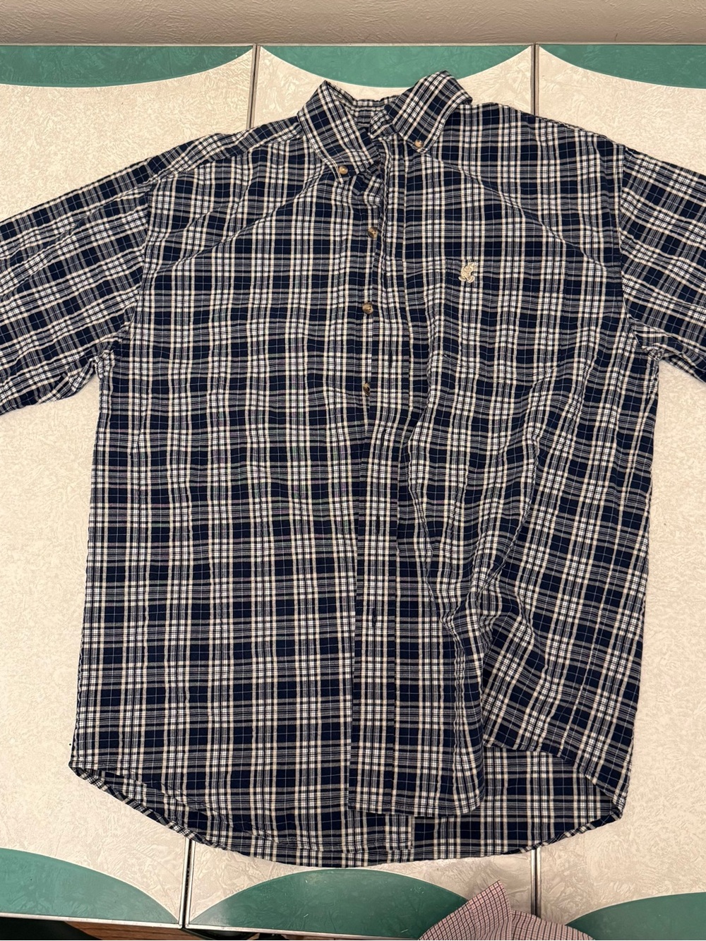 Disney Men's Navy and White Plaid Button-Down Shirt